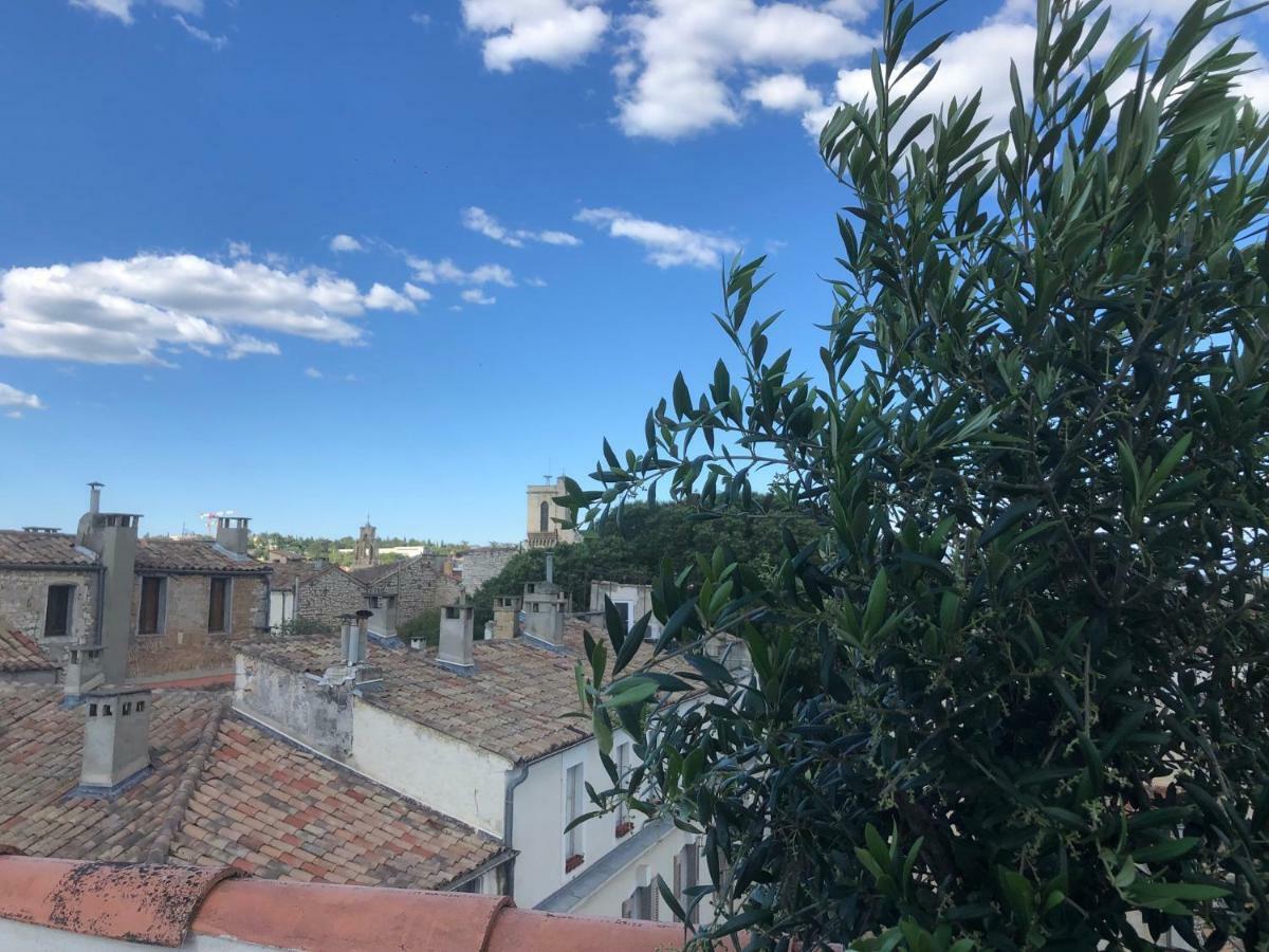 Appartement Avec Terrasse Panoramique Au Coeur De Nimes Nîmes Exterior foto